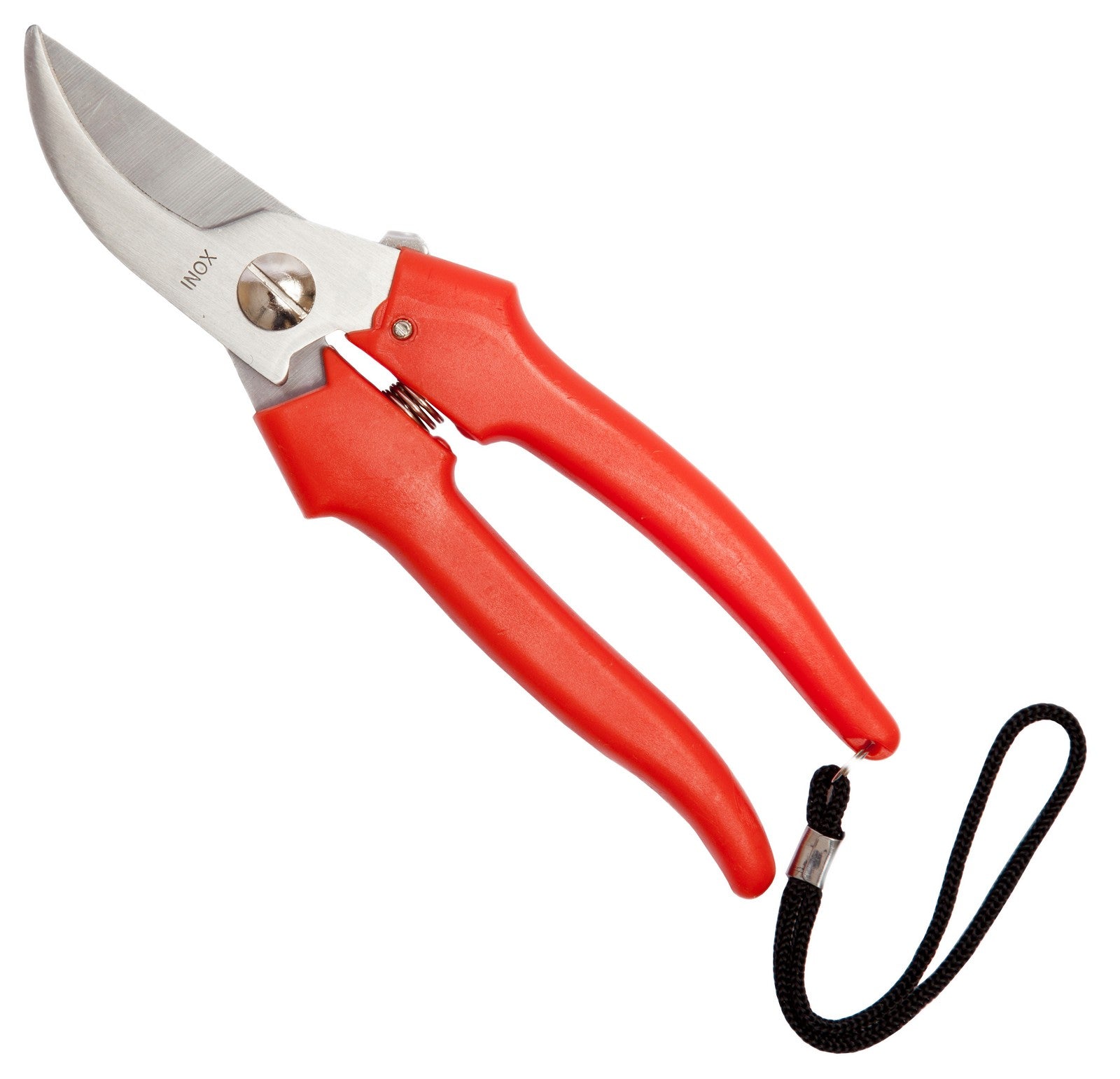 Attrezzatura Per La Raccolta | Italy - Foto 5