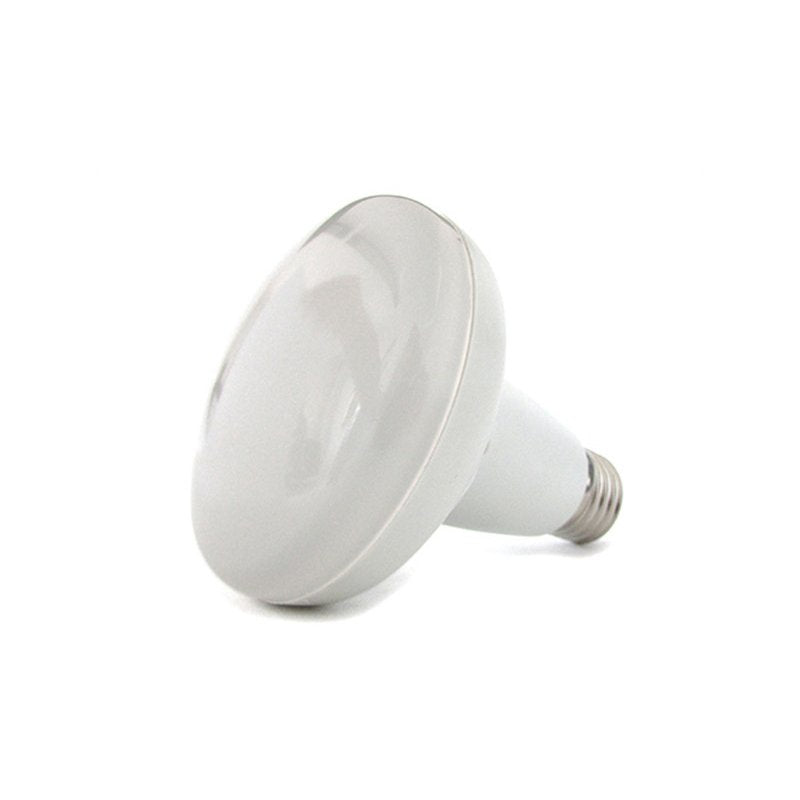 Lampada Vapalux Riflettore Bialaddin M1,320,315,305 – Kit Di Servizio Verde Regno Unito