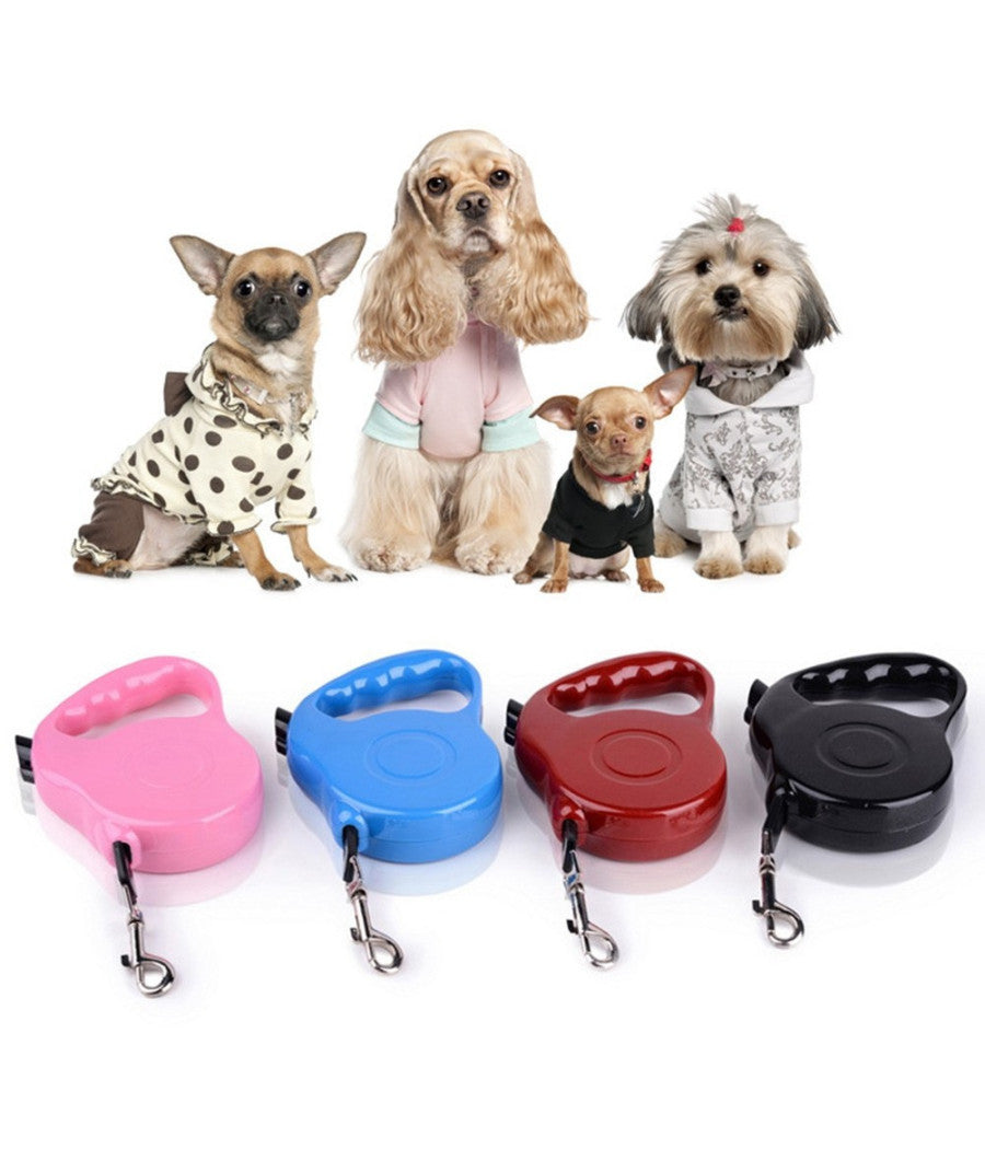 Guinzaglio Retrattile Per Cani 5 Metri - Taglia Piccola/Media, Con Blocco A Una Mano - Foto 5