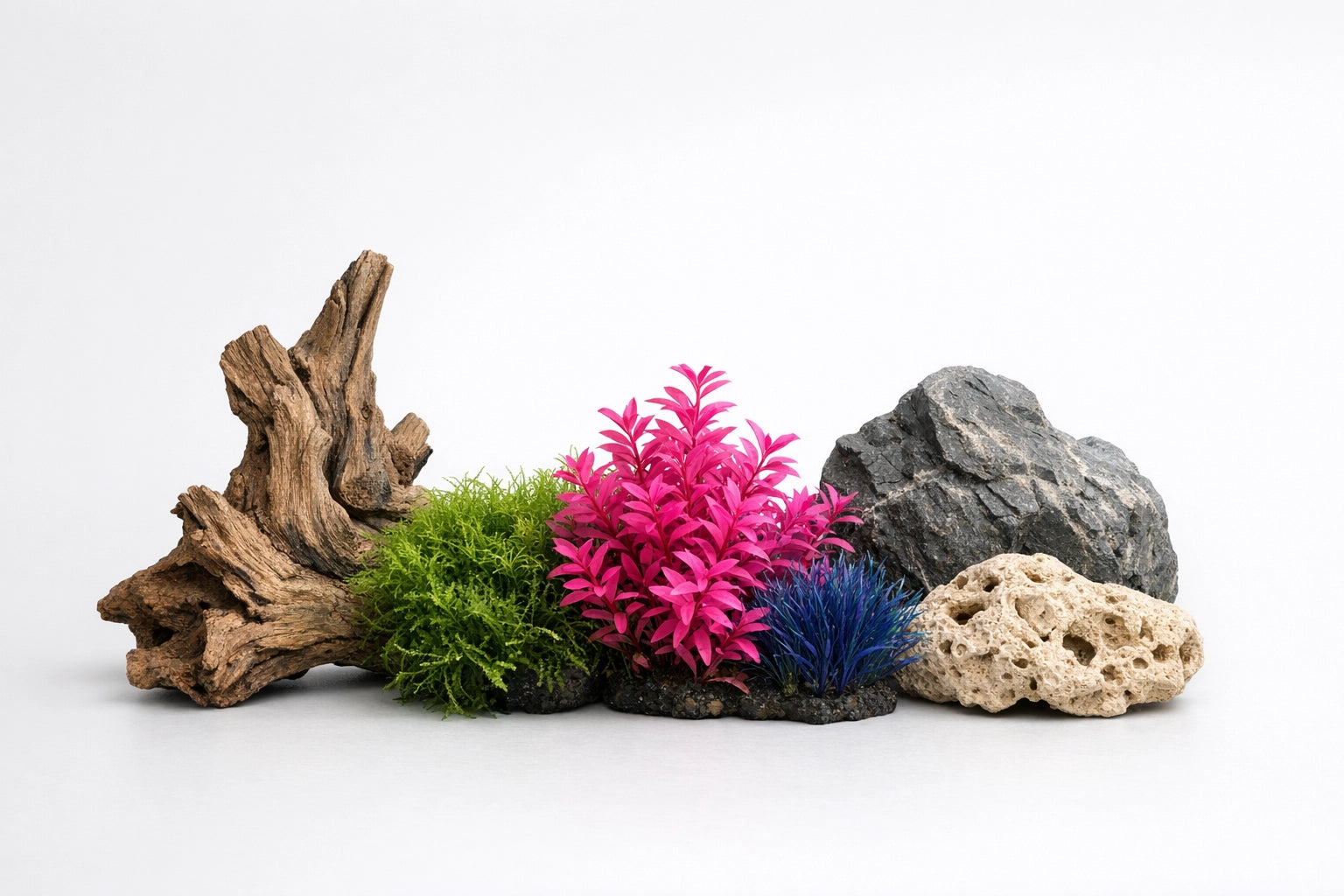 Decorazioni naturali per acquari