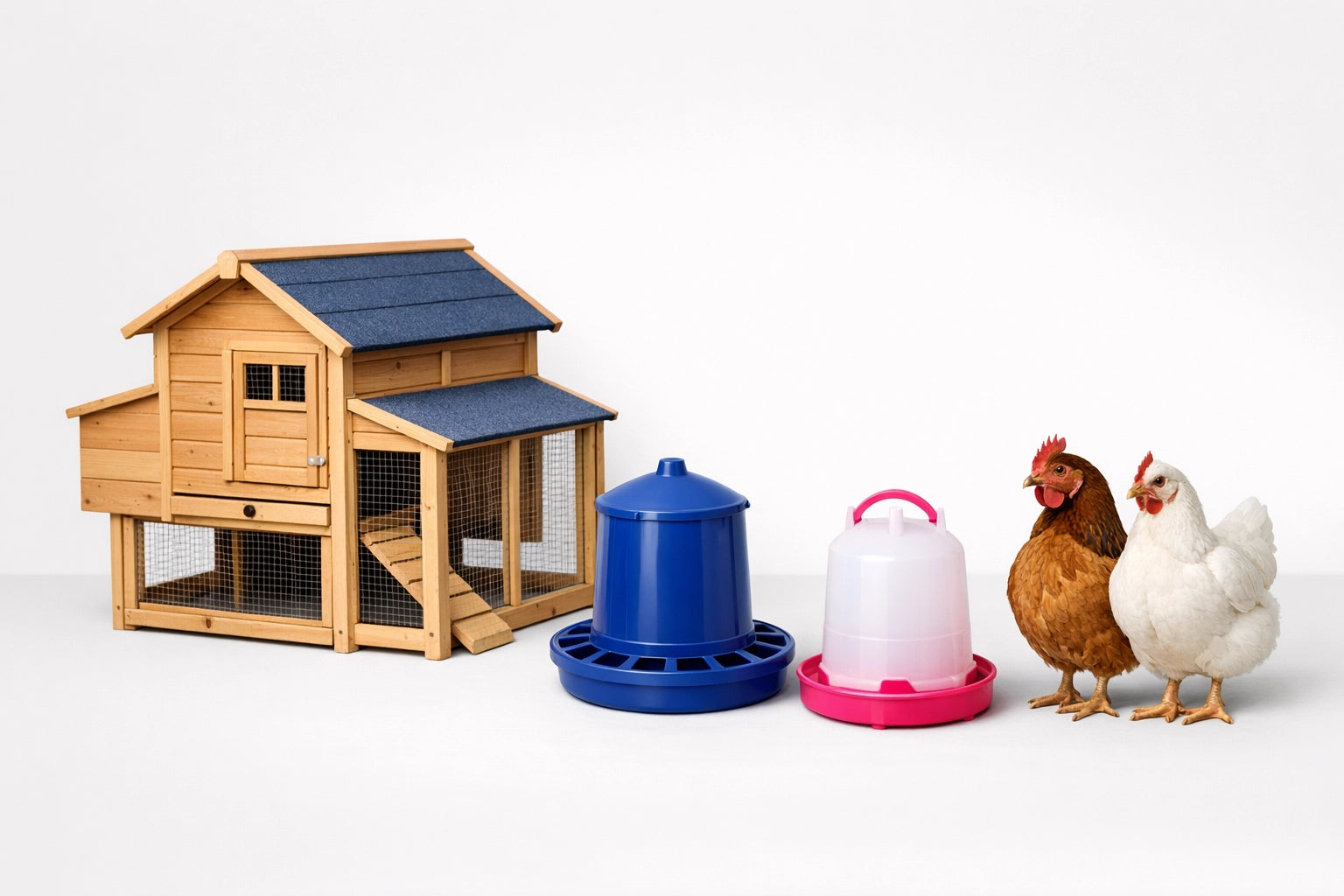 Pollai e allevamento di animali da cortile