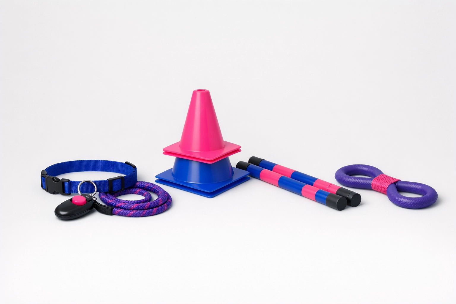 Addestramento e sport del cane