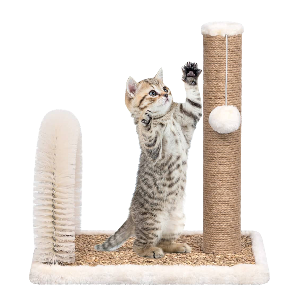 Articoli per animali - vidaXL