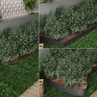 Serina Bordo del prato Antracite 100 x 14 cm 20 metri