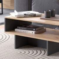 Vicco Tavolino da salotto Antracite/quercia dorata 80 x 46,2 cm con 1 ripiano