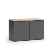 Vicco Credenza Antracite 80 x 50 cm con 2 porte
