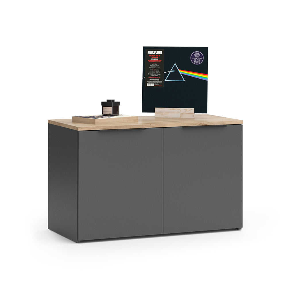 Vicco Credenza Antracite 80 x 50 cm con 2 porte