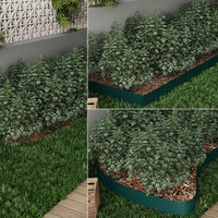 Serina Bordatura del prato Verde 100 x 14 cm 35 metri