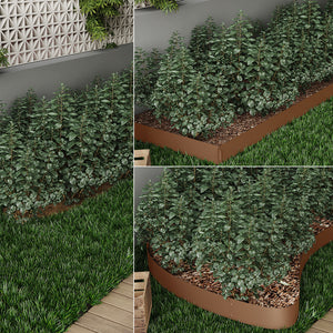 Serina Bordo del prato Marrone 100 x 14 cm 50 metri