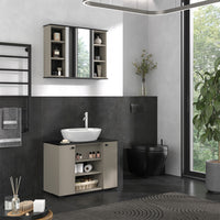 Vicco Specchio contenitore bagno Grigio 80 x 60 cm con specchio