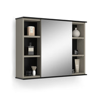 Vicco Specchio contenitore bagno Grigio 80 x 60 cm con specchio