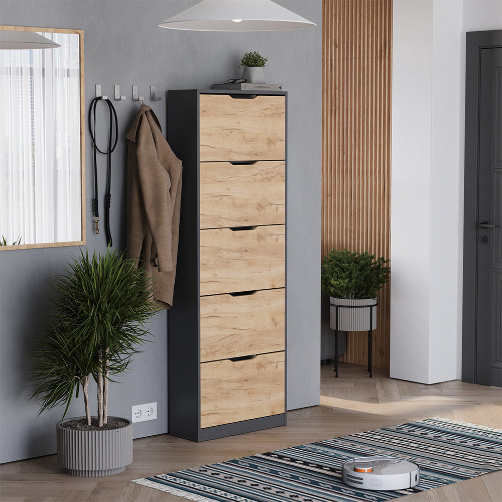 Vicco Scarpiera da ingresso Antracite/quercia dorata 22 x 169 cm con 5 scomparti