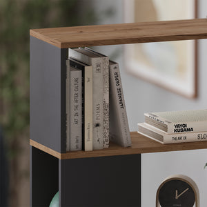 Vicco Divisorio per ambienti Antracite/quercia dorata 100 x 124.5 cm