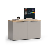 Vicco Credenza Grigio 80 x 50 cm con 2 porte