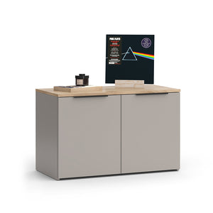 Vicco Credenza Grigio 80 x 50 cm con 2 porte