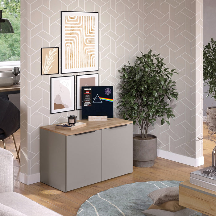 Vicco Credenza Grigio 80 x 50 cm con 2 porte