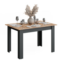 Vicco tavolo da pranzo allungabile Antracite/quercia dorata 160 x 80 cm Estensibile