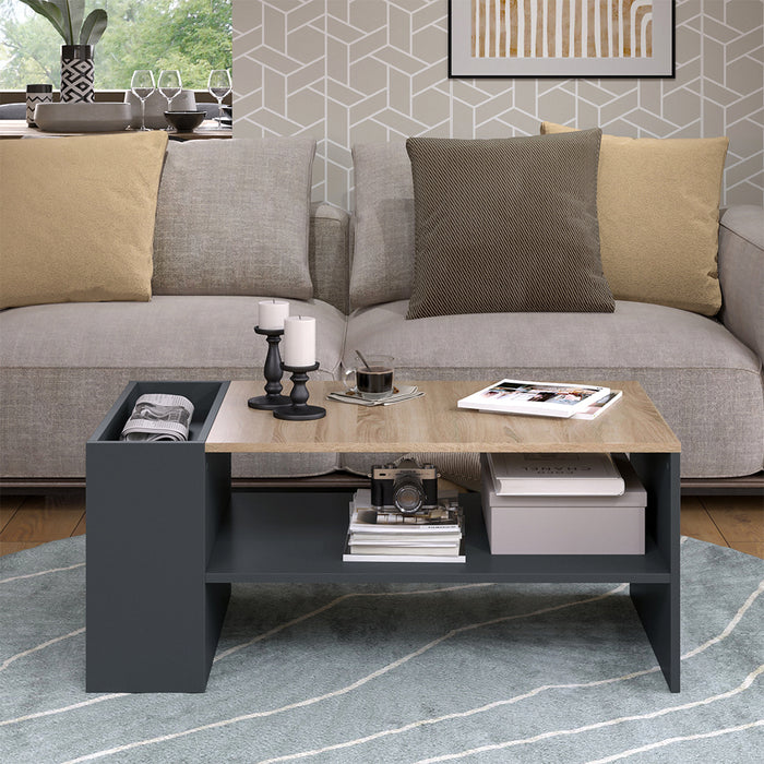 Vicco Tavolino da salotto Antracite/Sonoma 100 x 55 cm con ripiani