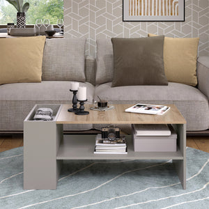 Vicco Tavolino da salotto Grigio 100 x 55 cm con ripiani