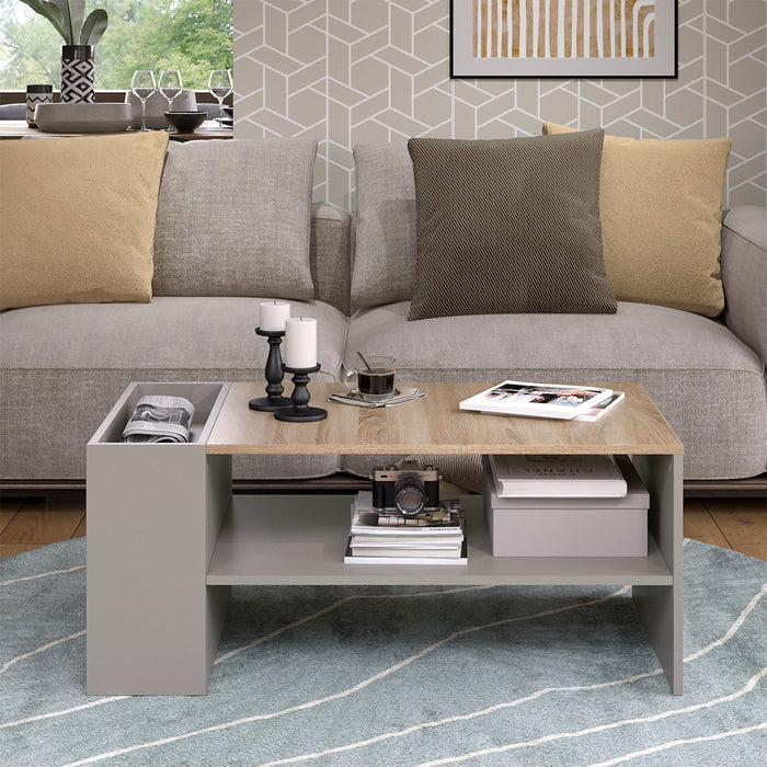 Vicco Tavolino da salotto Grigio 100 x 55 cm con ripiani