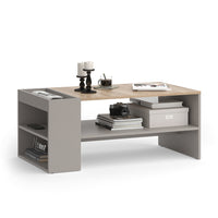 Vicco Tavolino da salotto Grigio 100 x 55 cm con ripiani