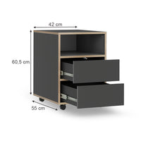 Vicco Contenitore per rotoli Antracite 42 x 55 cm con ripiani e 2 cassetti