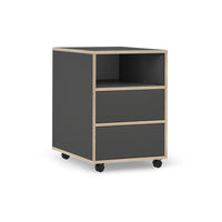 Vicco Contenitore per rotoli Antracite 42 x 55 cm con ripiani e 2 cassetti