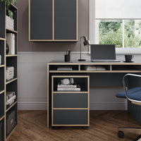 Vicco Contenitore per rotoli Antracite 42 x 55 cm con ripiani e 2 cassetti