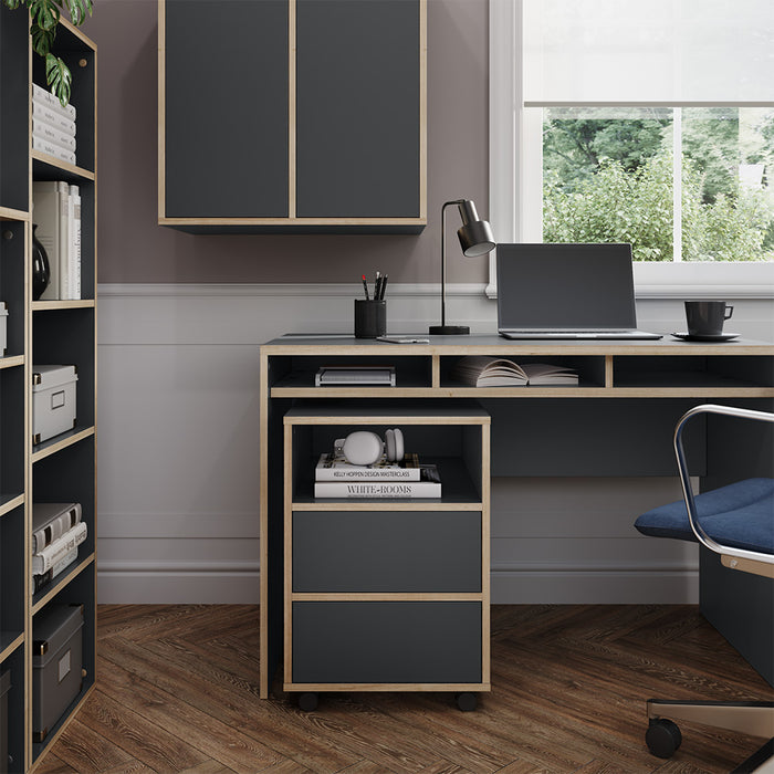 Vicco Contenitore per rotoli Antracite 42 x 55 cm con ripiani e 2 cassetti