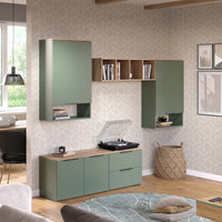 Vicco Parete attrezzata soggiorno Verde 5 parti