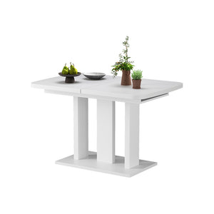 Vicco Tavolo da pranzo Estensibile Bianco/bianco 120/160 x 80 cm 2 parti
