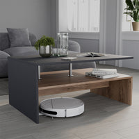 Vicco Tavolino da salotto Antracite/quercia dorata 90 x 52.6 cm