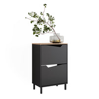 Vicco Scarpiera da ingresso Antracite/Artisan 60 x 91.6 cm con 2 scomparti