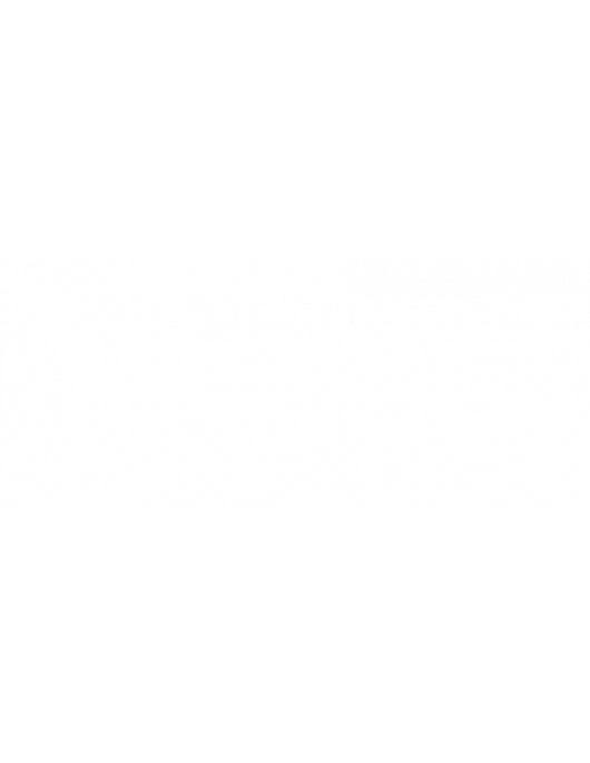 Asta per serratura a chiavistello multipunto, 1m, acciaio - THIRARD