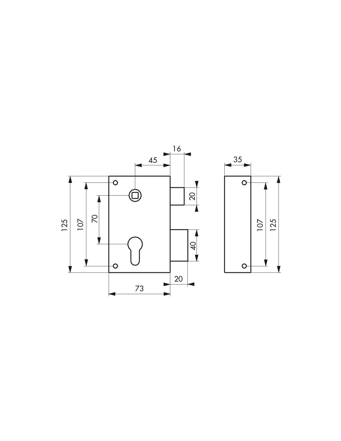 Serratura verticale da applicare doppio cilindro con quadro maniglia per cancello, destra, asse 45mm, 73x125mm, inox - THIRARD