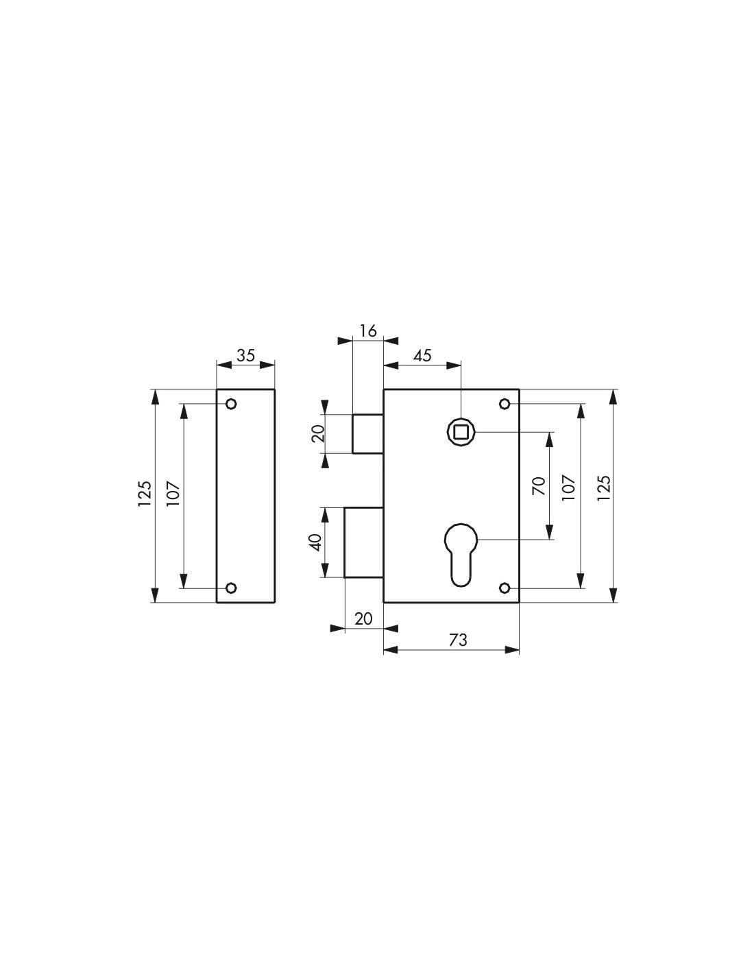 Serratura verticale da applicare doppio cilindro con quadro maniglia per cancello, sinistra, asse 45mm, 73x125mm, inox - THIRARD