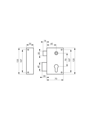 Serratura verticale da applicare doppio cilindro con quadro maniglia per cancello, sinistra, asse 45mm, 73x125mm, inox - THIRARD