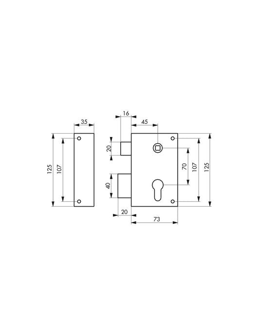 Serratura verticale da applicare doppio cilindro con quadro maniglia per cancello, sinistra, asse 45mm, 73x125mm, inox - THIRARD