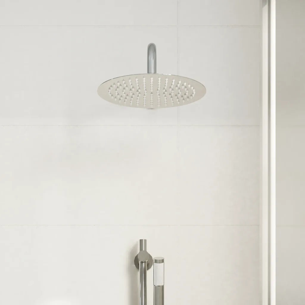 Testa Doccia a Pioggia in Acciaio Inox 304 25 cm Rotonda 4103893
