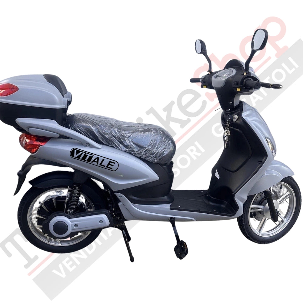 Bici Elettrica Scooter Velocipede Vitale NJT-007 250W  20Ah 48V Batteria a Grafene-Grigio