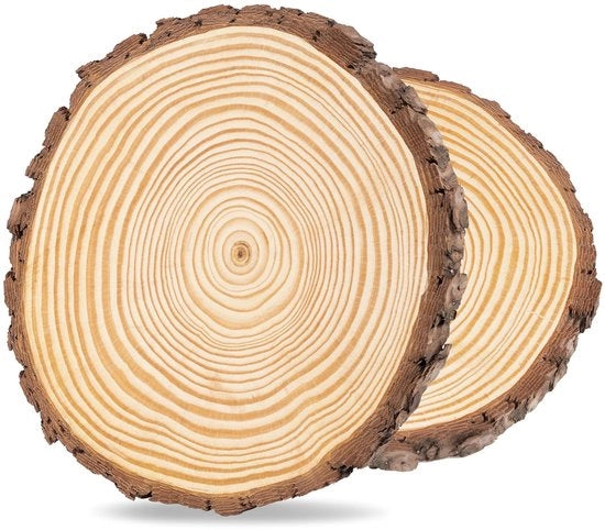Dischi in legno per artigianato - Materiale naturale - Set da 2