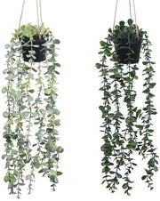 Coltivazione 2-pack di piante da parete con vasi, piante artificiali, foglie di eucalipto artificiali in vasi, piante artificiali per casa, giardino e arredamento ufficio