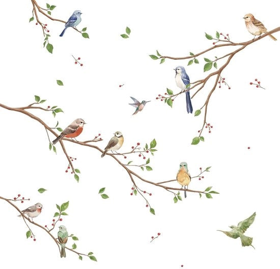 Sticker per parete Aquarel Uccelli - Decorazione per parete Camera da letto - Decorazione per parete Salotto - Decorazione per parete Camera dei bambini - Decorazione per parete Cucina - Facile da applicare