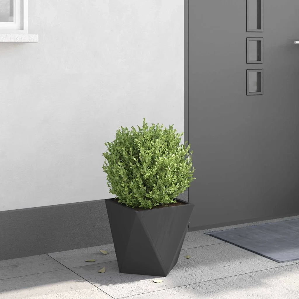 Fioriera | Cassetta per fiori | Vaso Nero 30 x 30 x 30 cm Acciaio