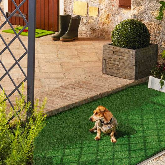 Erba Sintetica per Giardino 8mm 2x30m Rama Verdecor Basic Verde