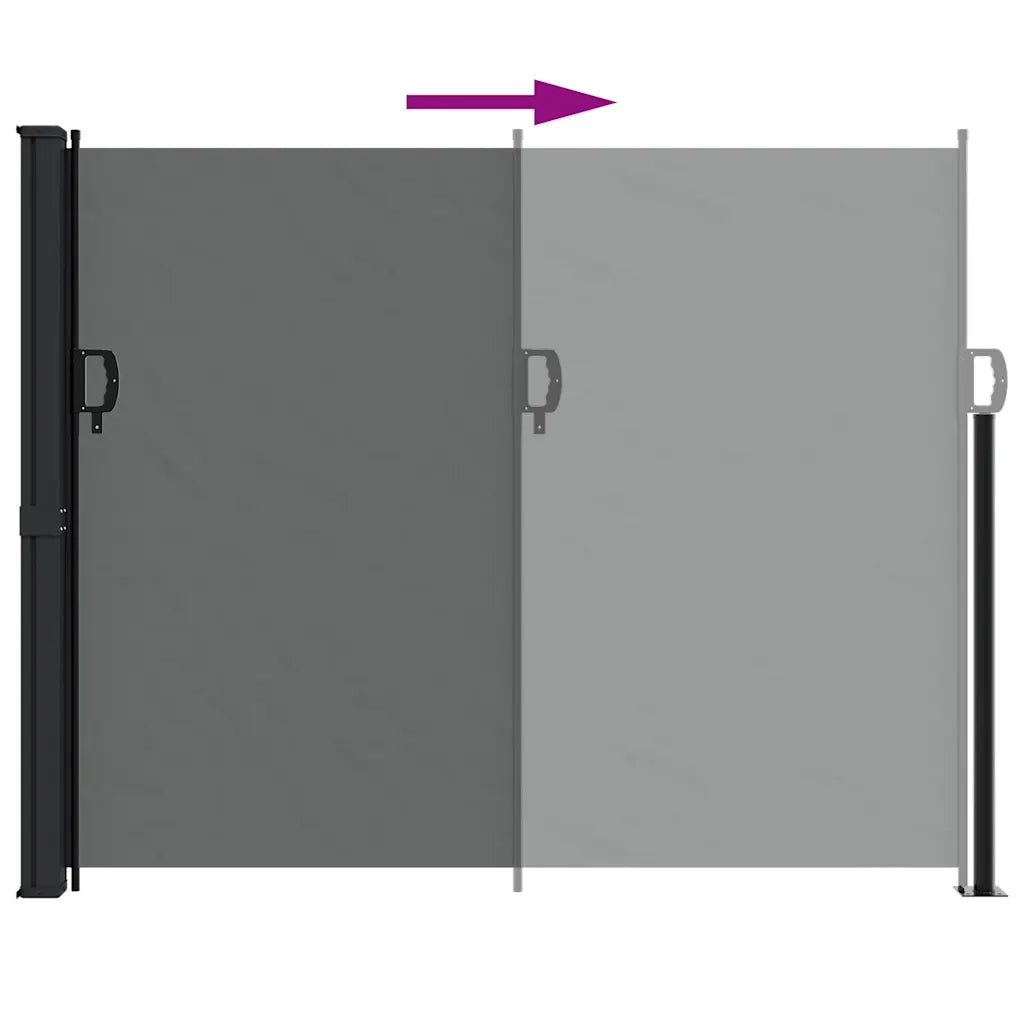 Tenda da Sole Laterale Retrattile Antracite 160x500 cm 4004443
