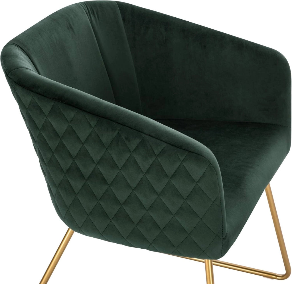 1x Sedie cucina moderne Poltroncina salotto Adatte per Sala da pranzo Soggiorno, Camera da Letto, Tessuto di velluto, Oro Metallo, Verde Scuro BH271dgn-1