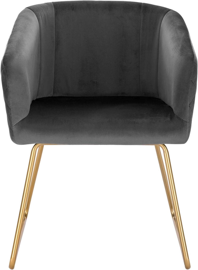 1x Sedie sala da pranzo Sedie cucina moderne Poltroncina salotto Adatte per Sala pranzo Soggiorno, Camera da Letto, Tessuto di velluto, Oro Metallo, Grigio scuro BH271dgr-1