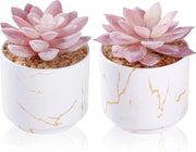 Succulente piante artificiali - piante di finto muschio per ufficio - vasi ceramici bianchi - 2 pezzi