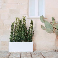 Vaso fioriera in resina rettangolare 40x100 Bianco mod. Matera